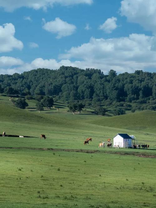 壩上夏日體驗與攻略_壩上草原 野釣_壩上夏日美景