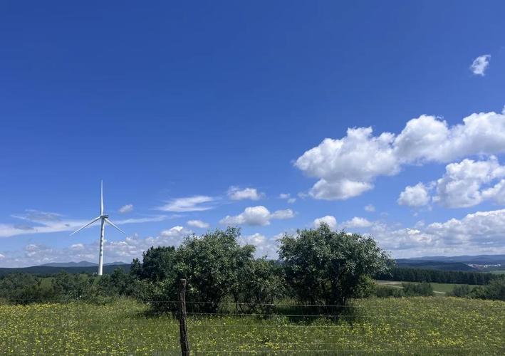 壩上草原 野釣_壩上夏日美景_壩上夏日體驗與攻略