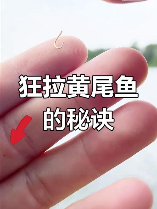 夜釣黃尾技巧_夜釣黃尾釣點選擇_黃尾魚很多人都釣過學會這套技巧無人能及必看