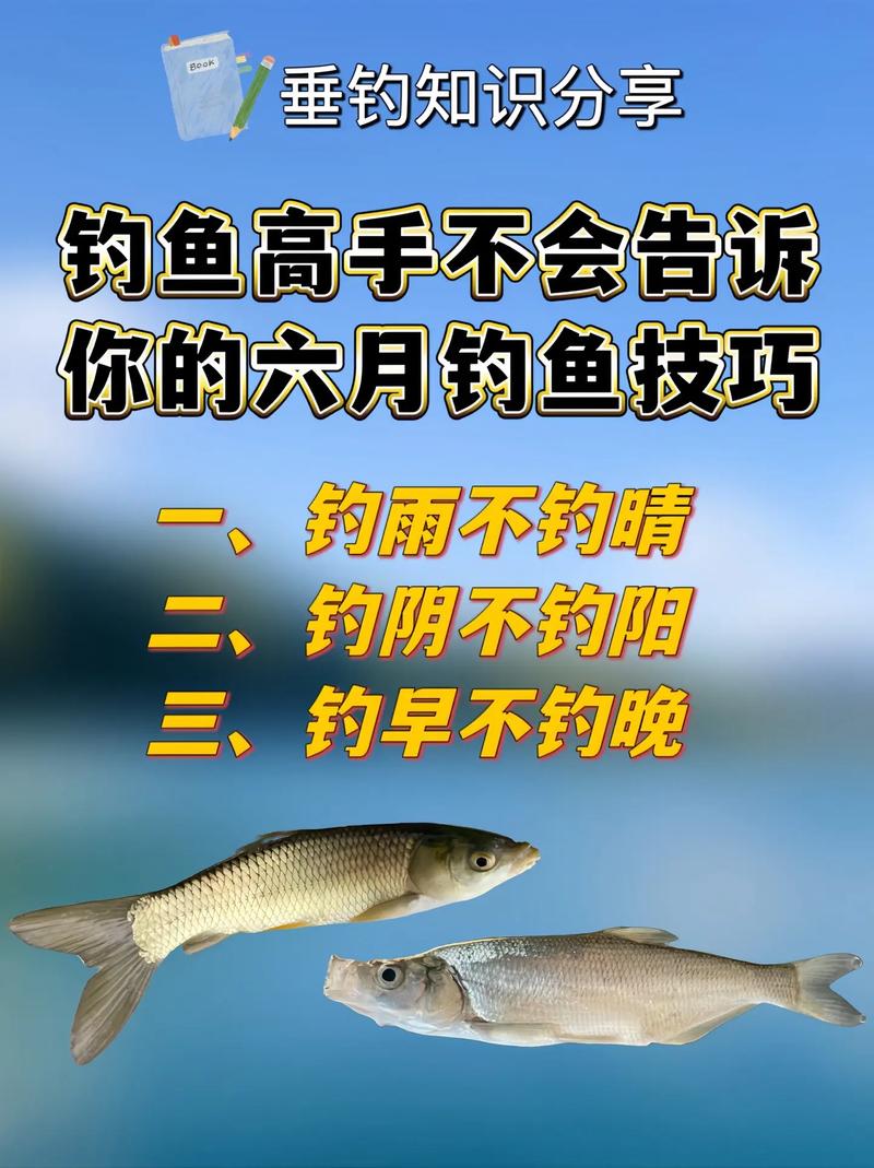 黑坑釣魚爆護技巧_釣具選擇技巧_黑坑釣魚技巧大全