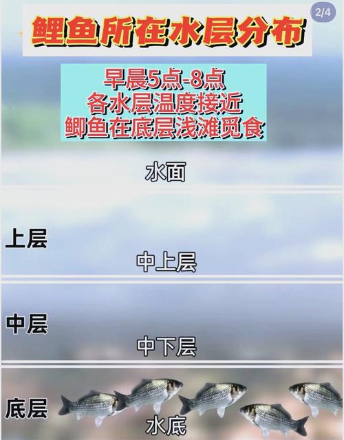 夏季魚情變化節氣分析_下雨天釣魚好不好釣_夏季釣魚天氣規律