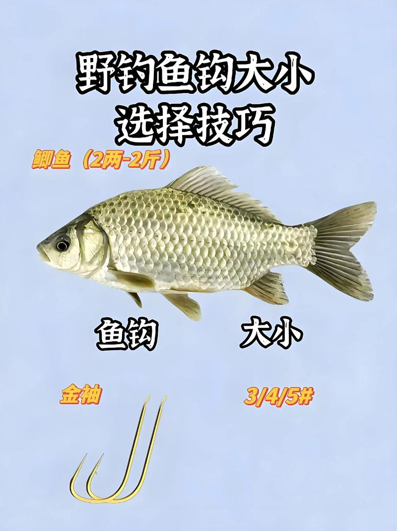 魚鉤種類和垂釣不同魚種選鉤技巧_釣魚如何選擇魚鉤種類_魚鉤選擇技巧