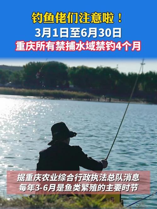 重慶禁釣期_重慶主城水庫免費釣魚_重慶非法捕撈打擊