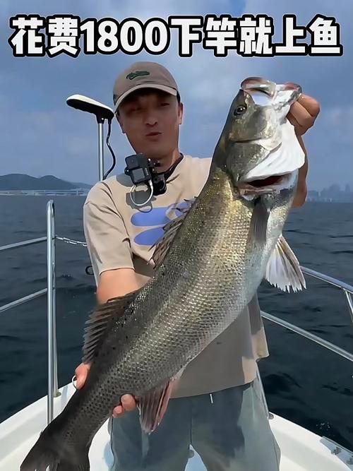 青島磯釣_青島海釣文化_海釣愛好者