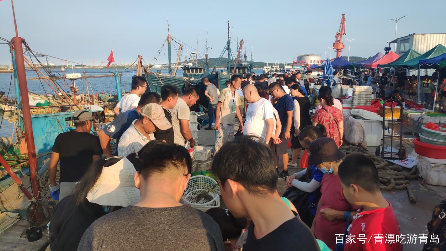 青島磯釣_前海釣魚人擾民問題_青島海邊釣魚管理