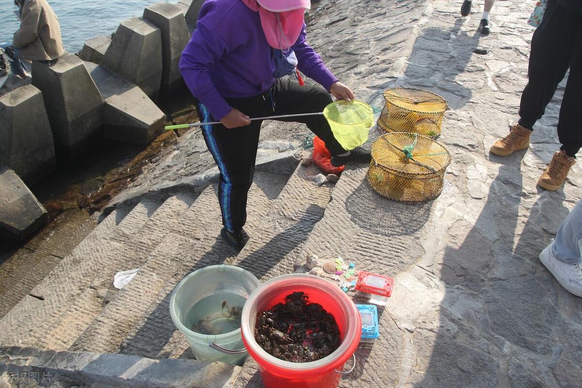 青島海邊釣魚管理_前海釣魚人擾民問題_青島磯釣