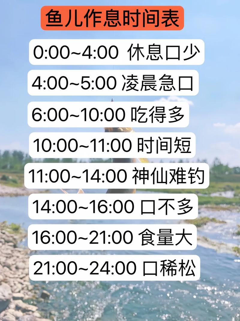 夏季釣魚技巧_夏季釣魚最佳時間_深水庫釣魚技巧