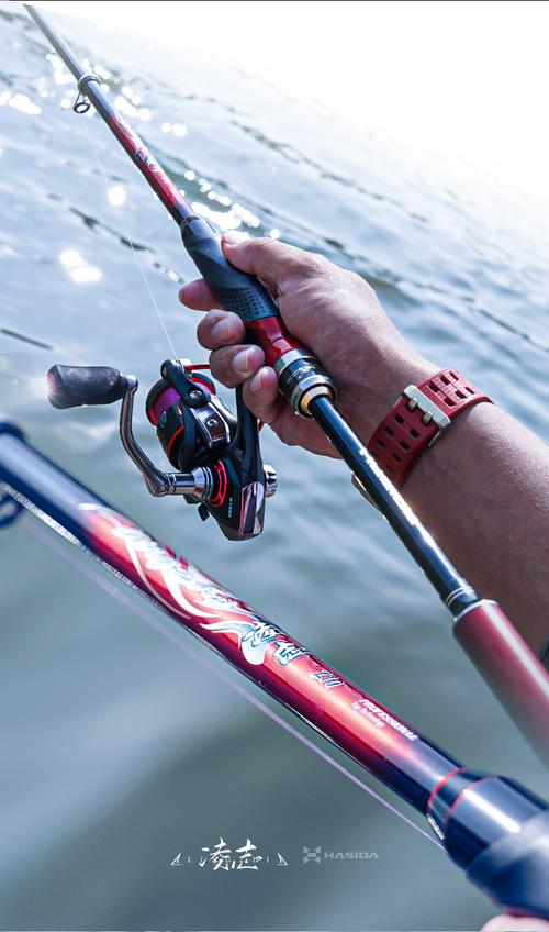 口碑最好的磯釣竿_磯釣竿求推薦_磯釣竿推薦
