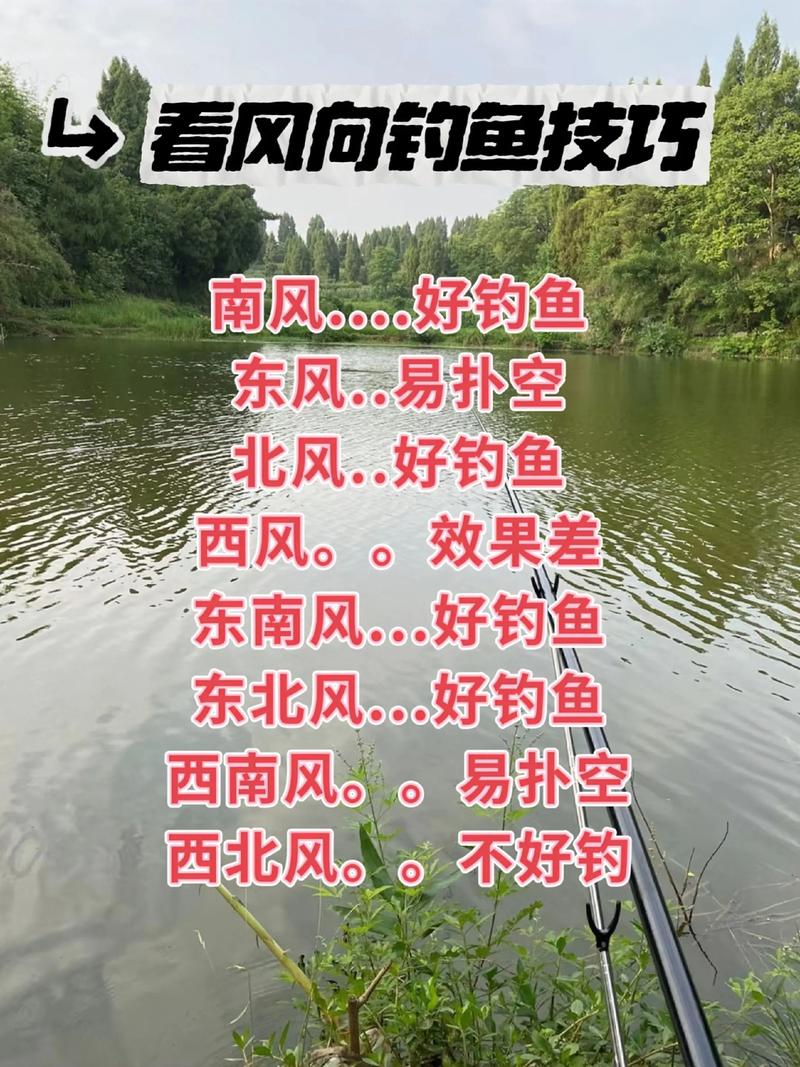 春季釣魚避開淺灘_初春垂釣水溫判斷_春季釣魚技巧 釣魚人必看