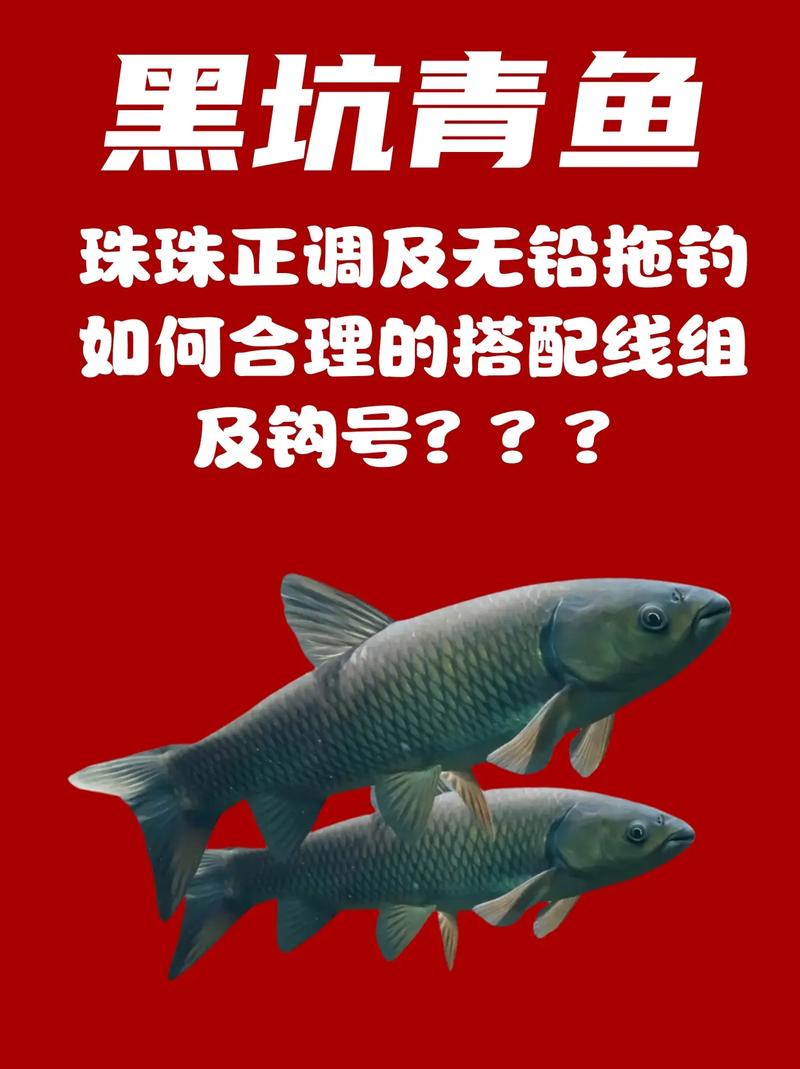 珠珠釣法_手竿珠珠釣鯉魚_珠珠釣法