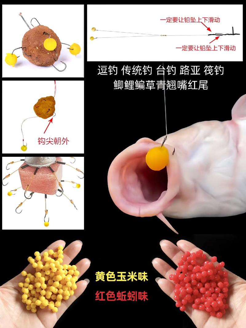 珠珠釣法_硬珠軟珠選擇技巧_珠珠釣法