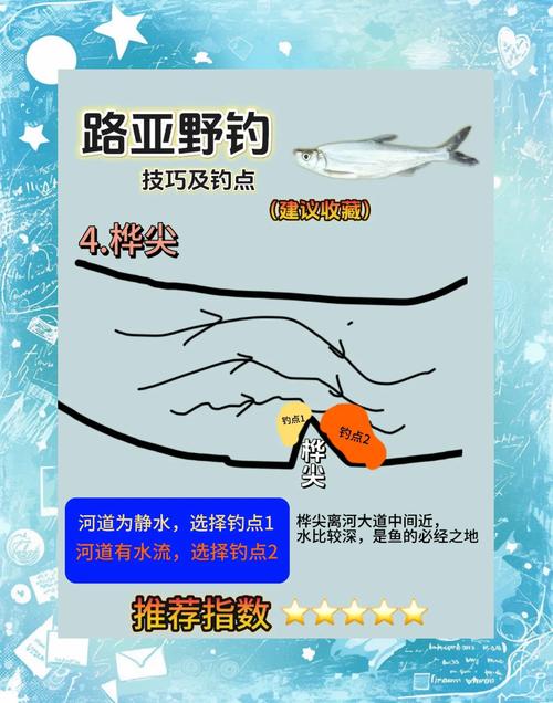 濱江路亞釣點_杭州濱江野釣地方_江濱路釣魚