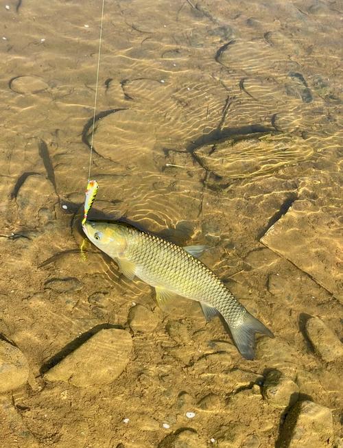江濱路釣魚_濱江路亞釣點_杭州濱江野釣地方