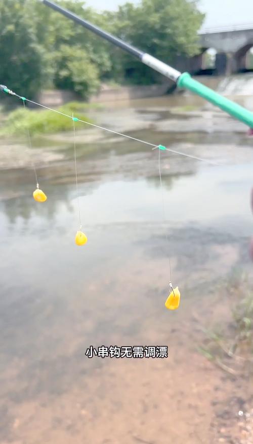 串鉤的綁法及串鉤釣魚技巧_釣大板鯽技巧_海竿串鉤釣法