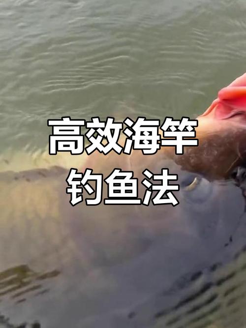 海竿釣鯉魚_海竿釣魚視頻野釣實戰_自制爆炸鉤釣鯉魚