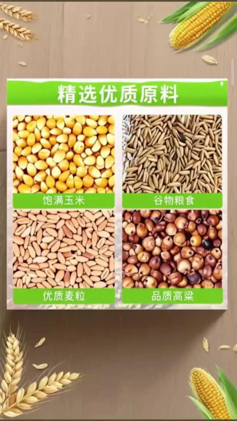 秋季釣草魚餌料配方_谷物芽釣草魚配方_草魚晚春垂釣