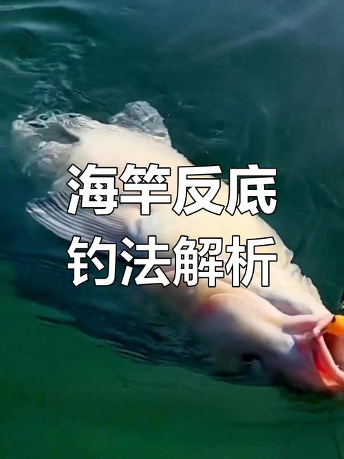 海竿釣法_海竿陣討論_海竿線組組裝圖解