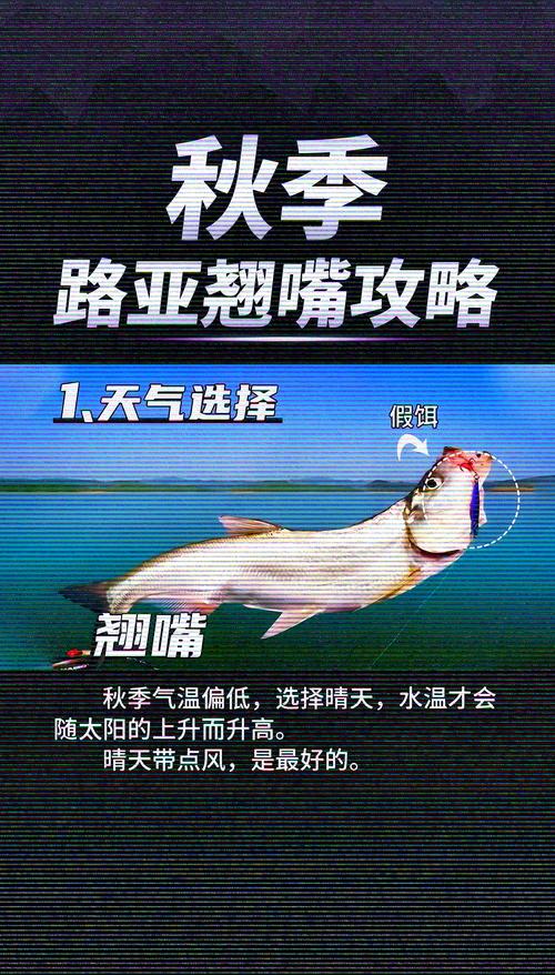 冬季釣翹嘴最佳時間_冬季路亞翹嘴魚的釣法_冬季路亞翹嘴技巧