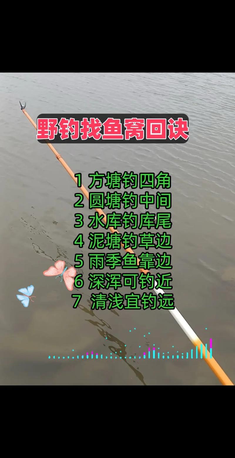 四海釣魚頻道釣賽進行時_四海釣魚頻道釣大魚_四海釣魚節目