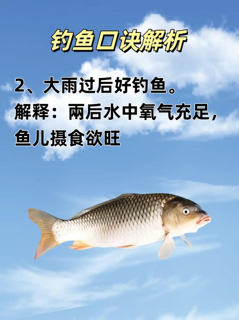 北方谷雨釣魚方法_春季釣魚技巧_谷雨前后釣魚技巧