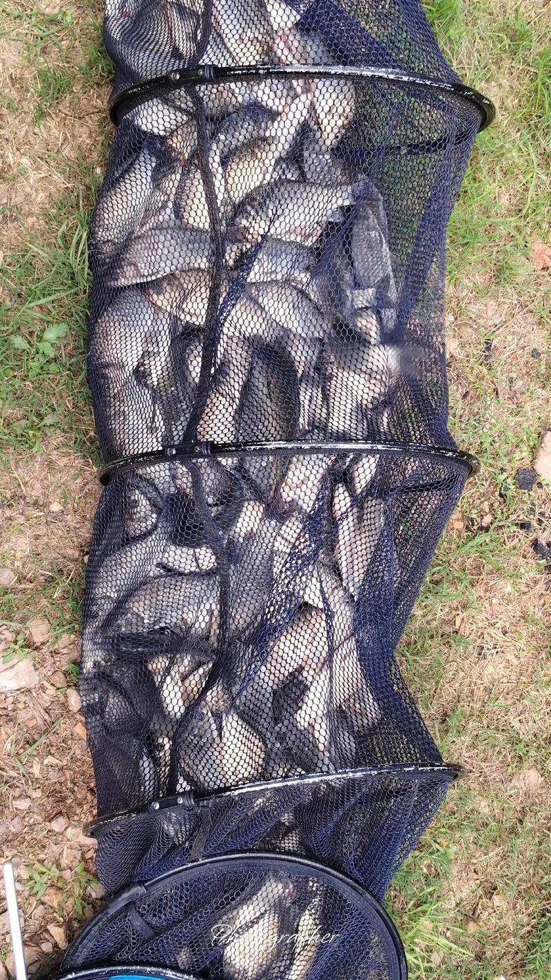 夏天晚上釣魚技巧_夏季夜釣黃金上魚期_黃昏夜釣大魚技巧