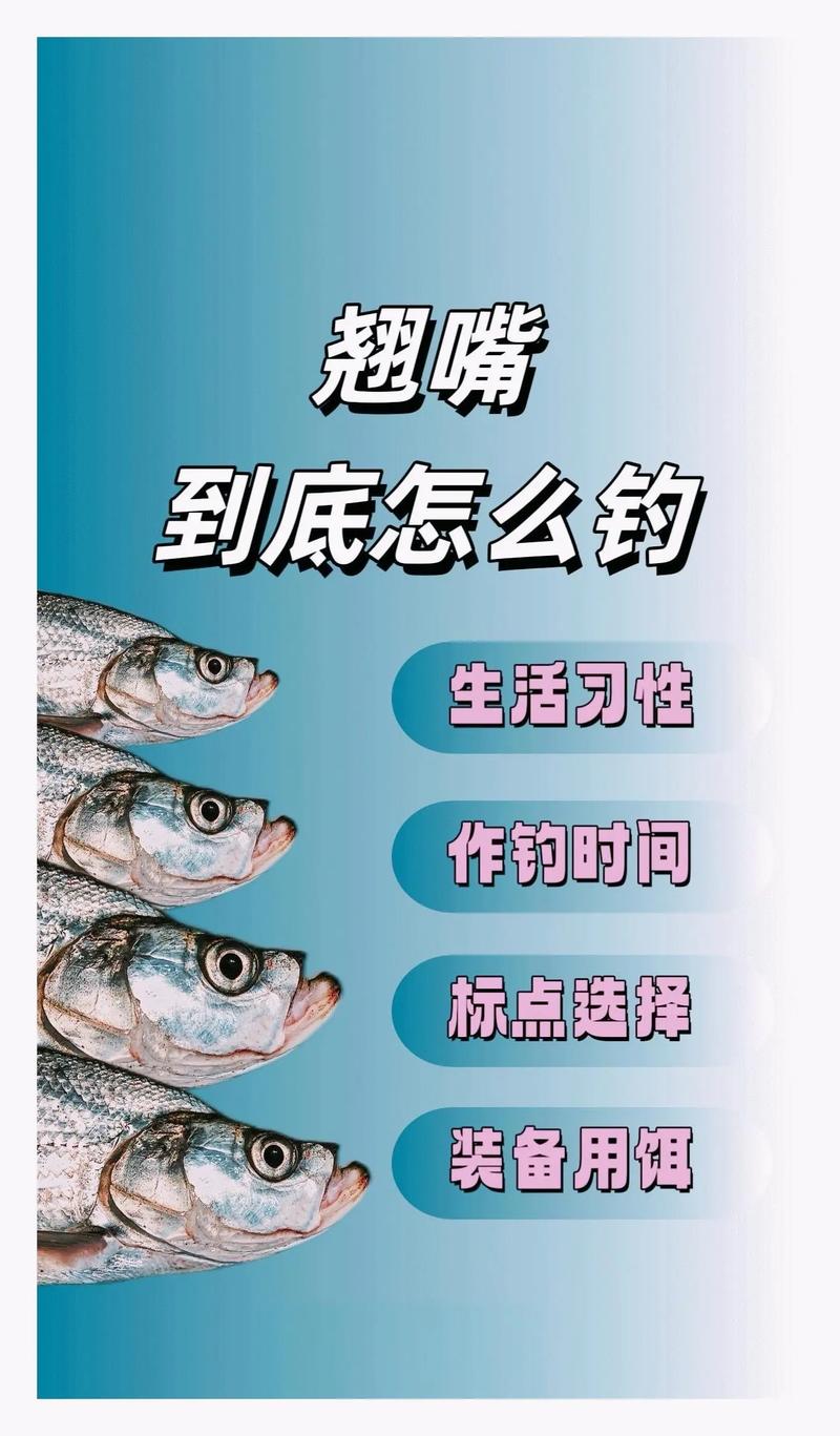 翹嘴魚釣法_路亞釣翹嘴技巧_釣魚 翹嘴