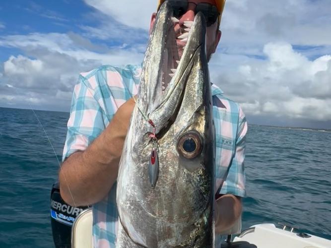 海狼魚_海狼魚_海狼魚