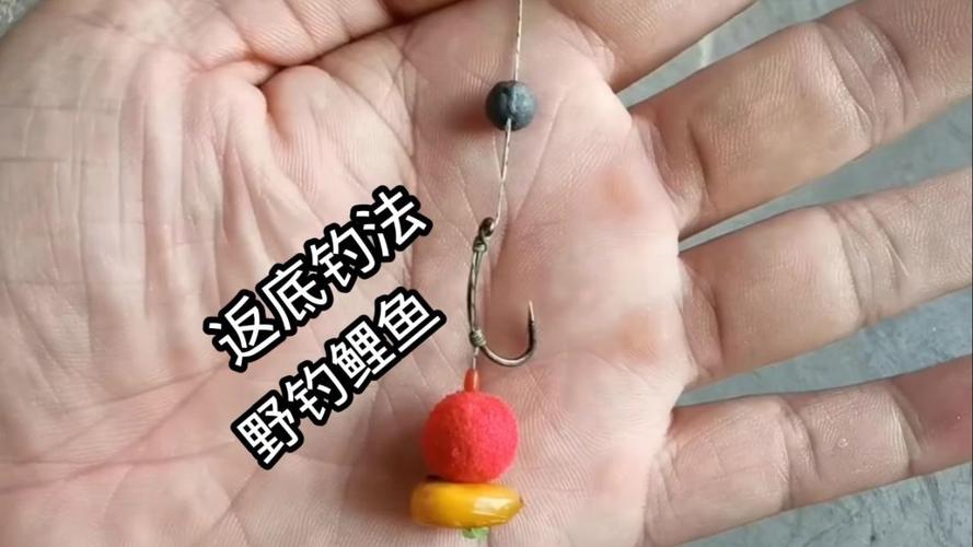 蜂蜜泡嫩玉米方法_嫩玉米釣大魚技巧_新鮮玉米粒誘釣鯉魚技巧分析必看