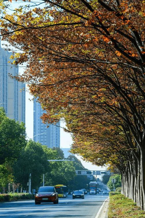 海寧未來一周天氣變化_海寧市天氣預報_海寧氣溫回升預報