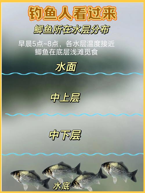 分析魚類的趨溫性趨氧性趨食性_鯽魚的生活習性與水溫的關系必看_了解魚的生活習性