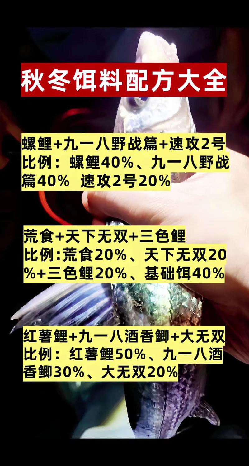 鯽魚餌料配方大全野釣_化氏鯽魚套餐配方_秋冬鯽魚餌料配方大全