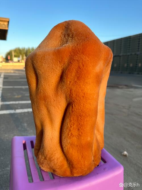 肉太歲_上林湖撿到疑似太歲 肉靈芝 鑒定