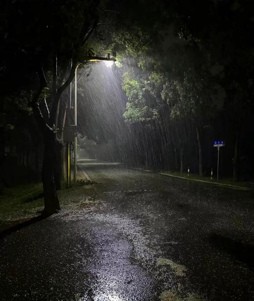 氣氛算不算融洽_雨在下氣氛不算融洽_雨一直下氣氛不算融洽