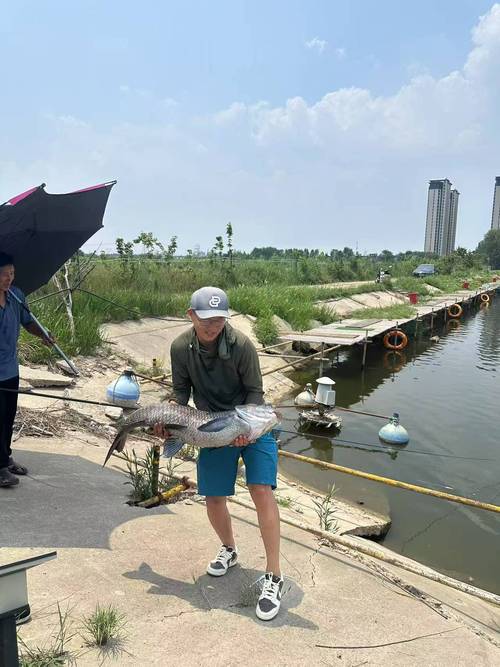 邳州附近釣魚哪里好釣_徐州邳州市免費釣場大全_邳州釣魚地點