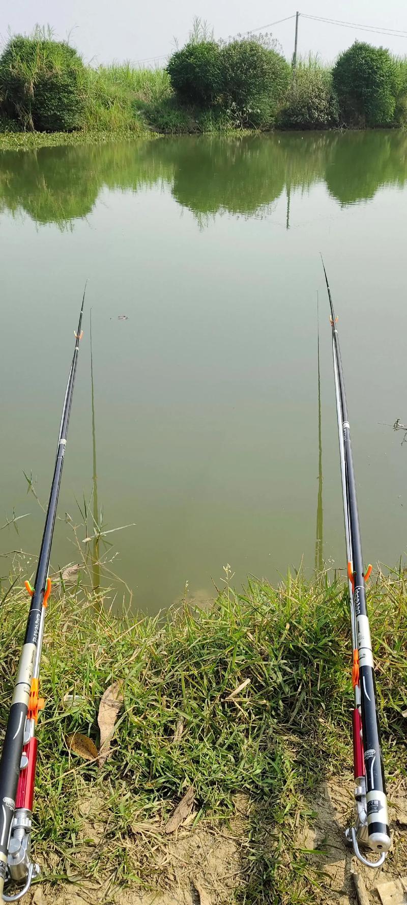 調漂最佳方法掛玉米粒釣鯉魚_掛玉米粒釣鯉魚原理_玉米釣鯉魚跑鉛還是躺底?