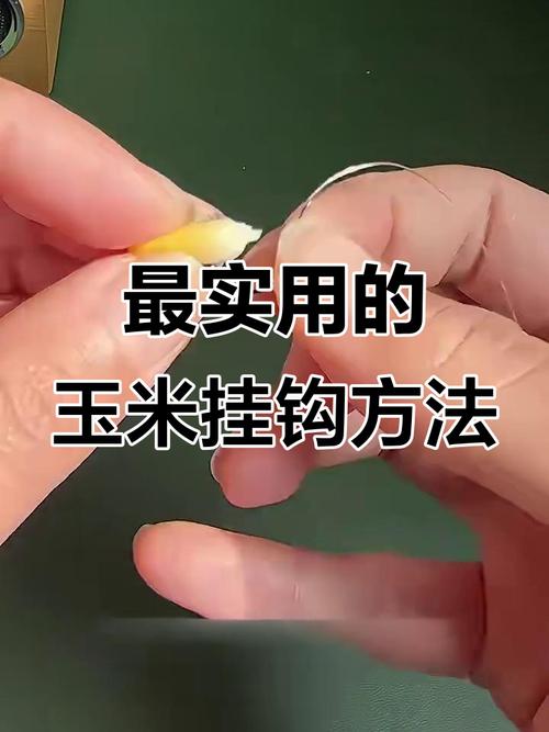 老玉米嫩玉米發酵玉米_玉米釣鯉魚_玉米粒釣鯉魚方法?