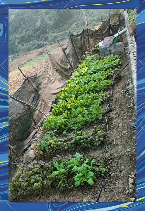 薛家灣露天煤礦_薛家灣地圖_薛家灣秘密菜園