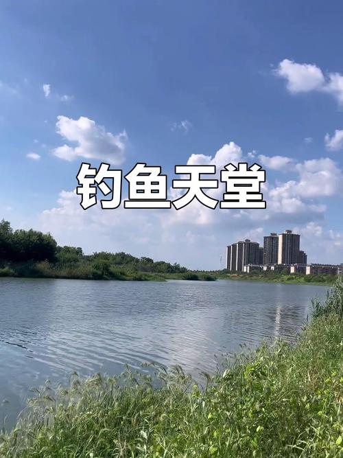 肥西縣釣魚地圖_合肥釣魚吧_合肥肥西縣免費釣魚點