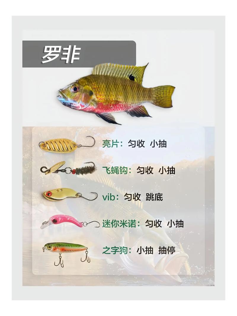 淡水路亞釣魚視頻_路亞釣魚新手指南_路亞釣竿選擇技巧