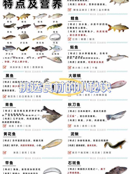 淡水魚_海魚與淡水魚的區別_海魚和淡水魚的營養價值