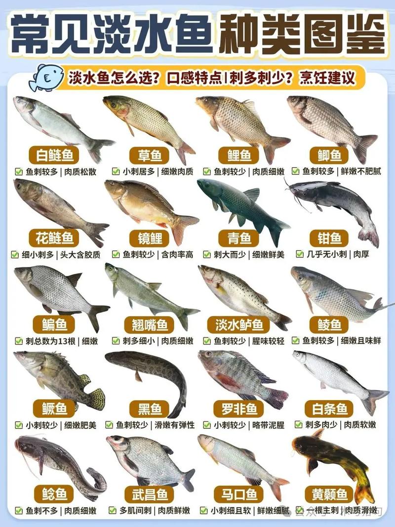 淡水魚養殖排名前十_草魚鰱魚鳙魚養殖特點_淡水魚大全