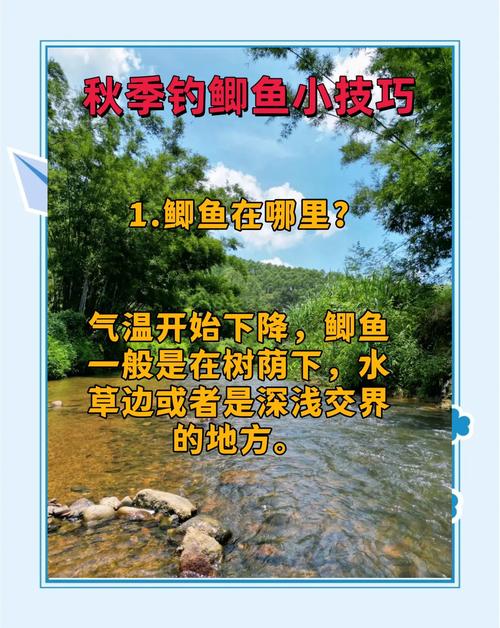 不同季節釣魚方法_野釣鯽魚技巧_秋季釣魚技巧