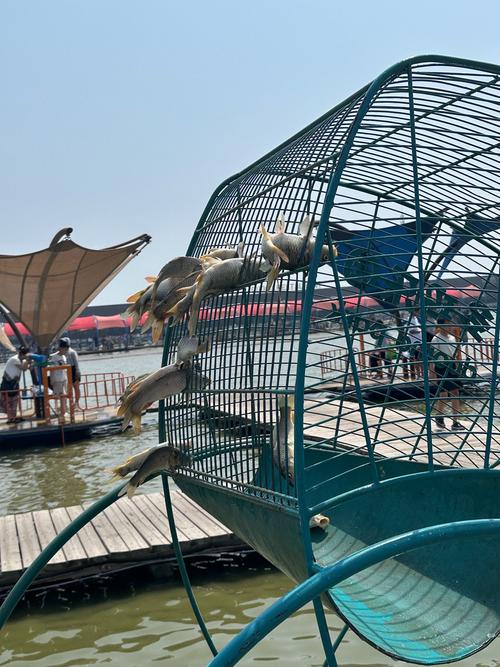 天津垂釣農家樂_天津海晶垂釣園特色區域_天津海晶垂釣園升級改造