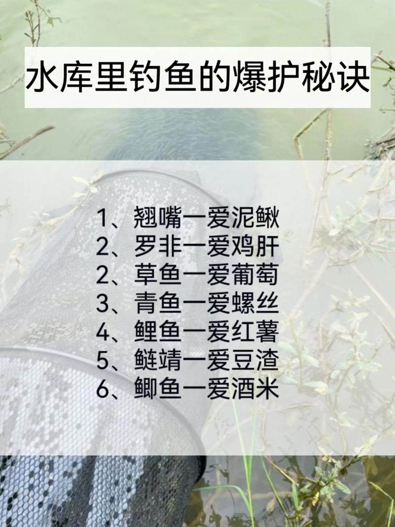 清澈見底的水能釣到魚嗎_釣魚清澈水域見底技巧和方法_清澈見底水域釣魚技巧