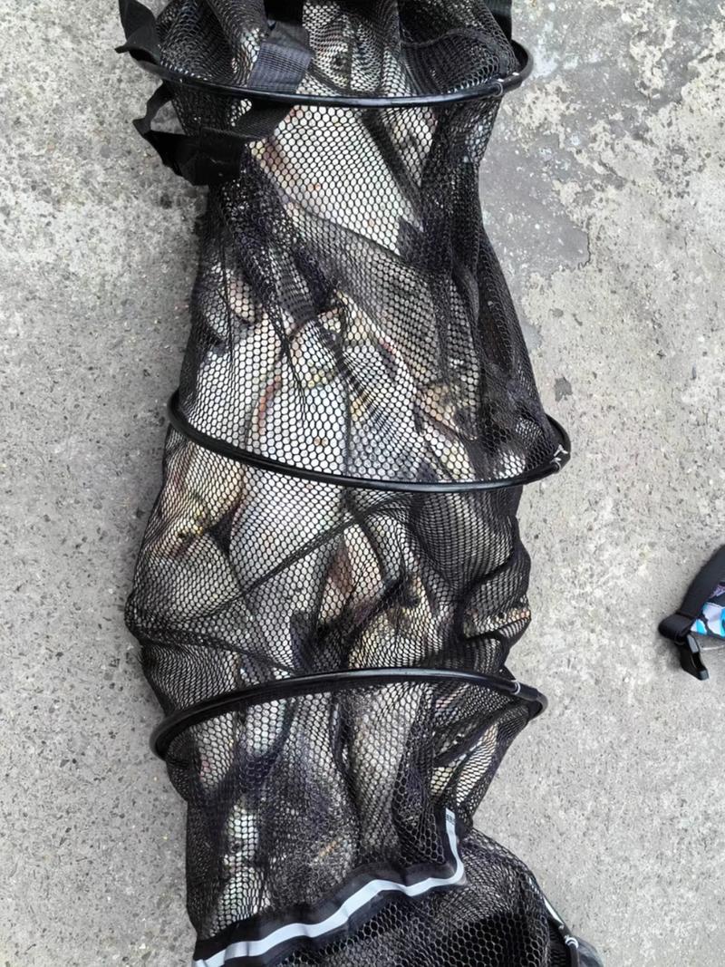 釣魚清澈水域見底技巧和方法_清澈見底水域釣魚技巧_清澈見底的水能釣到魚嗎