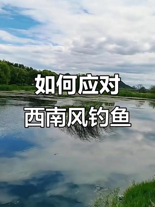 西南風好釣魚嗎_不同風向對釣魚的影響_釣魚風向選擇