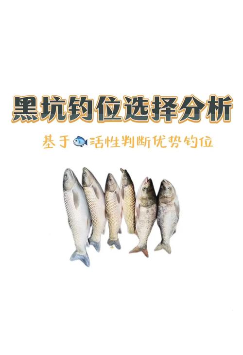 黑坑生口羅非魚釣法_黑坑羅非魚釣法_黑坑滑口羅非魚釣法