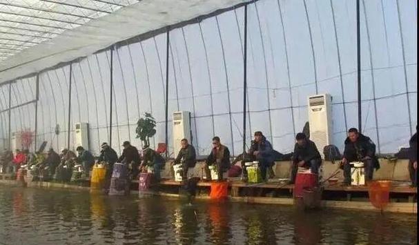 冬季大棚釣魚技巧_冬季大棚釣魚技巧_北方冬釣大棚攻略