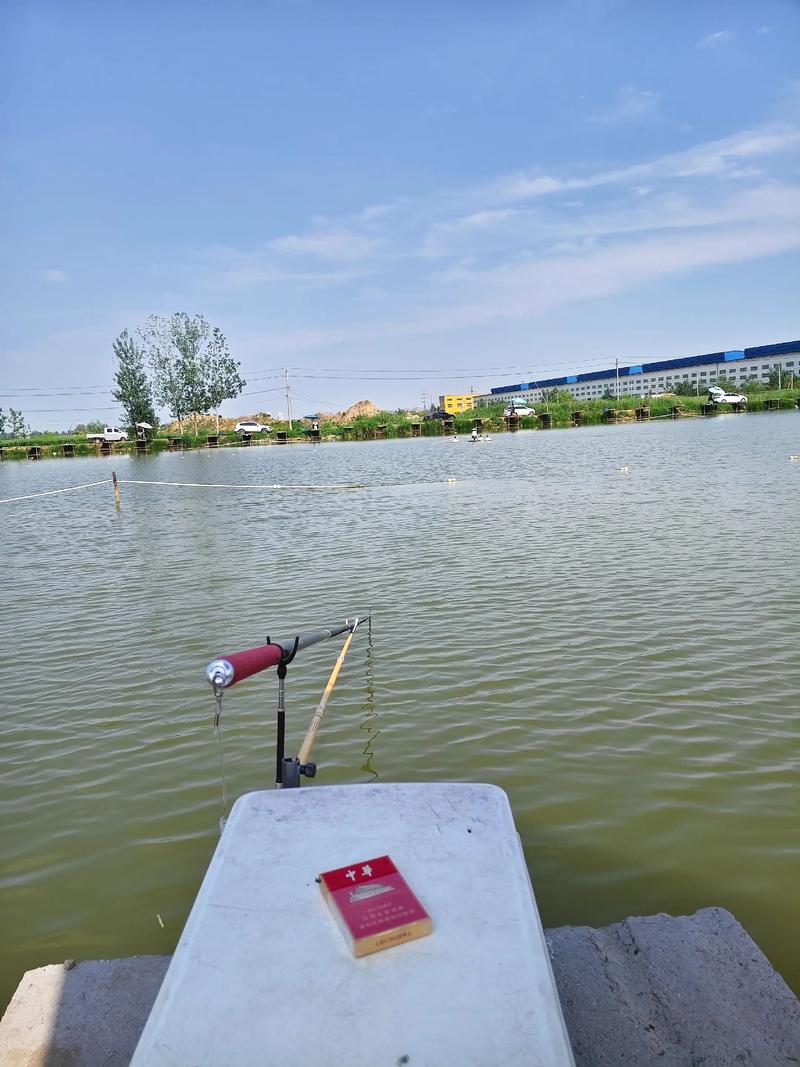 黑坑是什么意思_黑坑是啥意思_黑坑收費標準