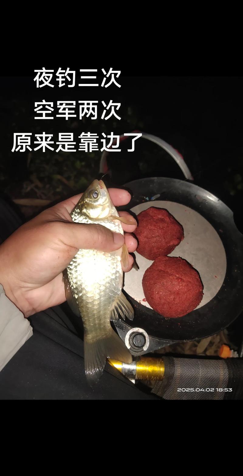 夜釣鯽魚技巧_夜釣爆護方法_夜釣技巧